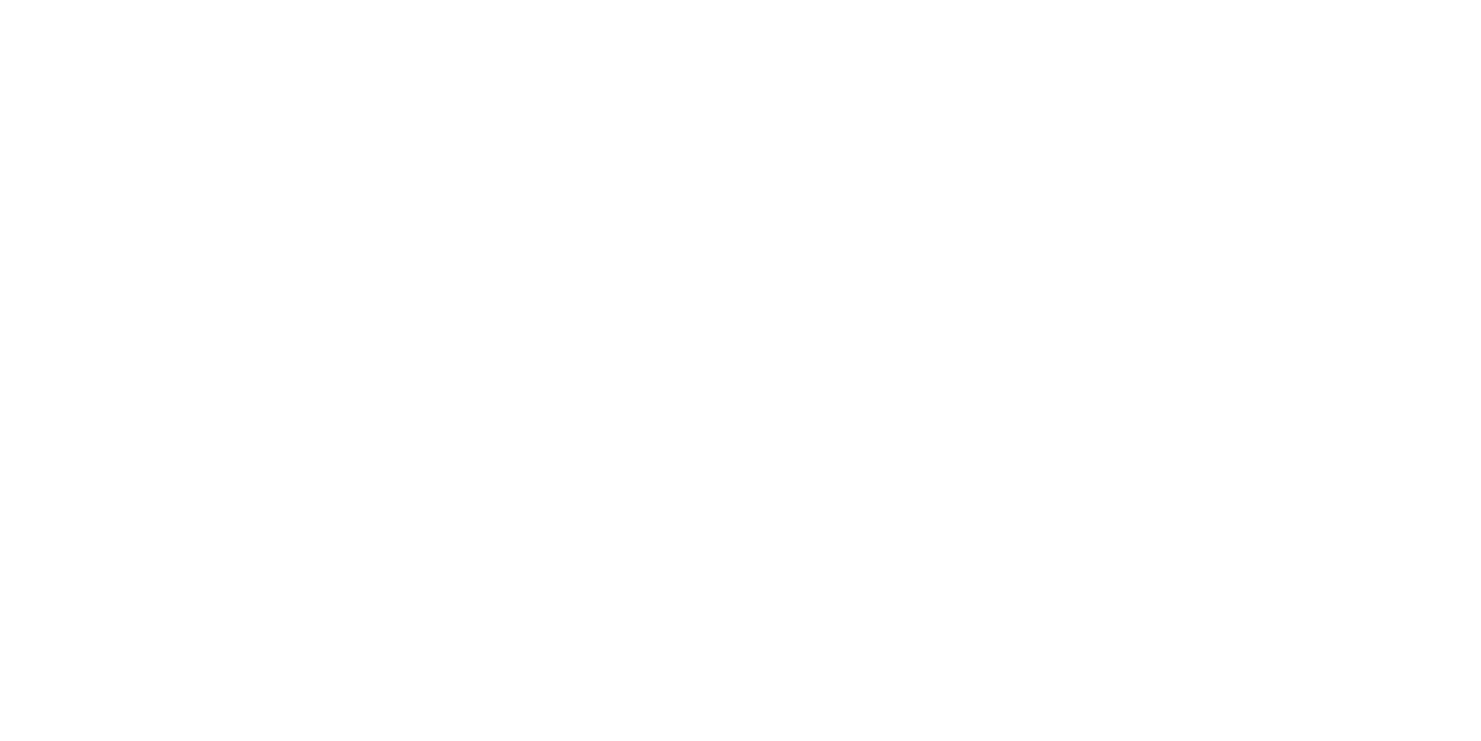 IRB Lleida. 20 anys.