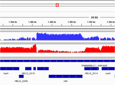 Bioinformatics and Computational Biology (BIO2COMP)